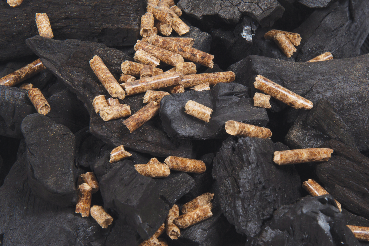 Wood pellets shown alongside pieces of charcoal