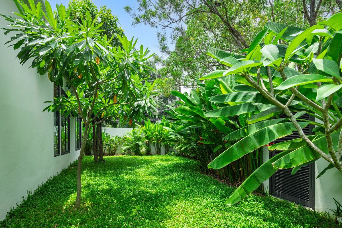 Villa Palms