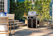 AOG 24″ L Series with included cart and optional black accent panels