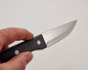Hand holding a serrated steak knife