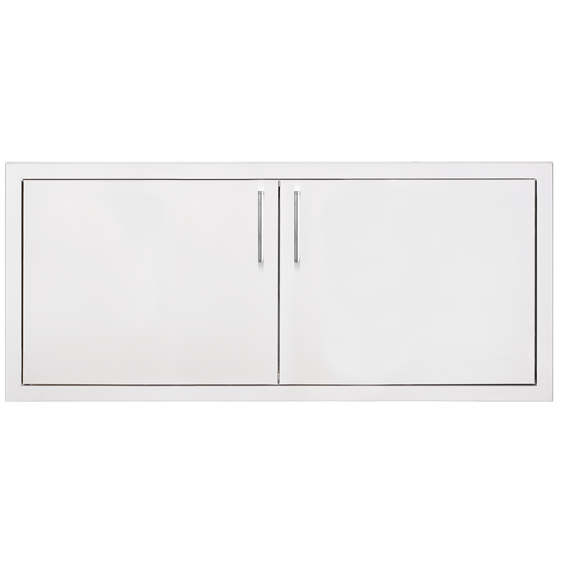 TrueFlame 39" Double Access Door + Hidden Hinge — TF-DD-39-A