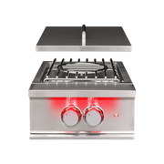 TrueFlame Power Burner