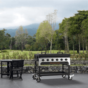 Blackstone model 2120 in an outdoor cooking setting