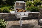 Choice C430s In-Ground Post-Mount Grill installed and in use