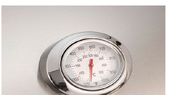 Analog thermometer