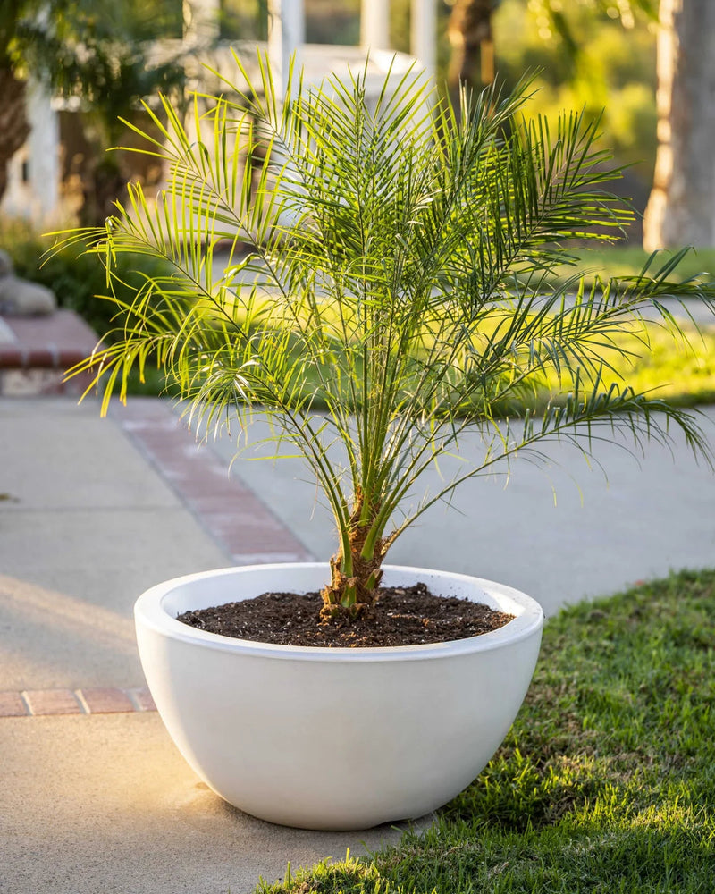 The Outdoor Plus Luna Planter Bowl